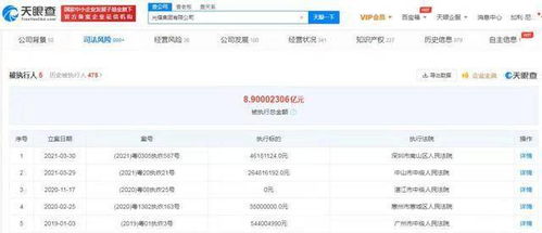 光耀集團(tuán)破產(chǎn)風(fēng)波 計(jì)算機(jī)軟件開(kāi)發(fā)業(yè)務(wù)的重挫與反思